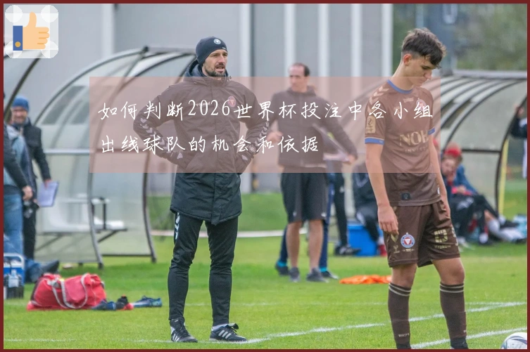 如何判断2026世界杯投注中各小组出线球队的机会和依据
