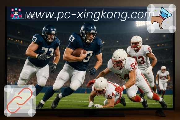 xingkongAPP 官方推荐图